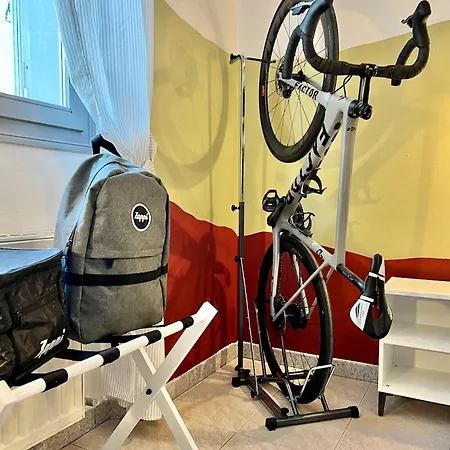 Zappi Cycling 3*