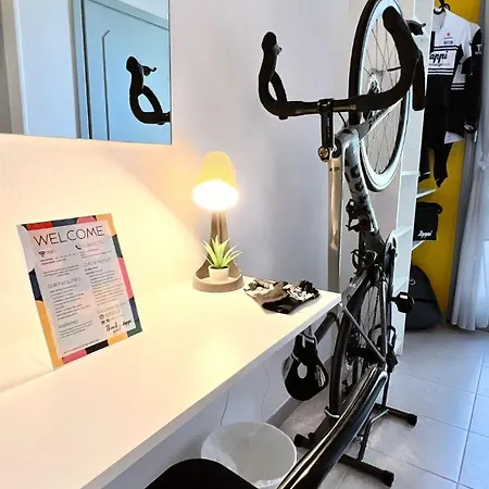 Zappi Cycling 3*