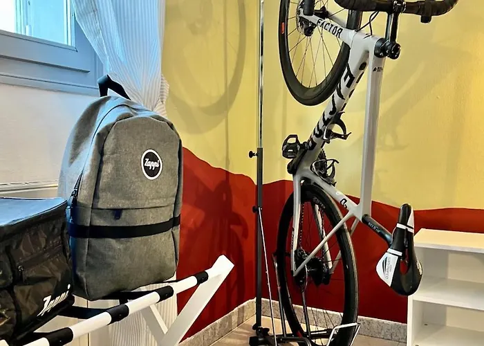 Zappi Cycling 3*
