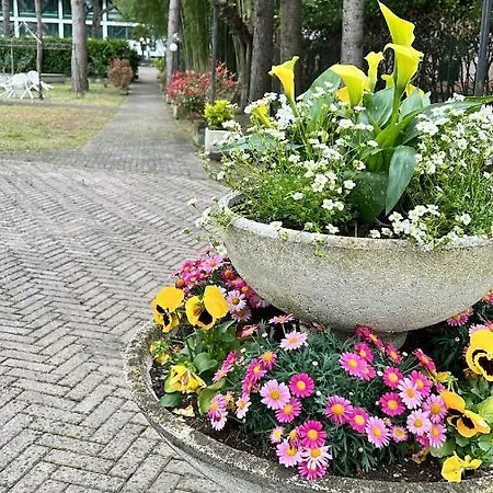 Zappi Cycling 酒店