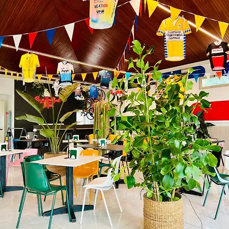 Zappi Cycling Riolo Terme